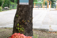 Αμάραντος Gravel Experience, Αμάραντος Καραδίτσας, 23/8/2025. © 2025 Nassos Triantafyllou / CYCLINGPHOTOS.GR