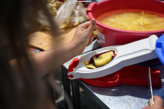 Αμάραντος Gravel Experience, Αμάραντος Καραδίτσας, 23/8/2025. © 2025 Nassos Triantafyllou / CYCLINGPHOTOS.GR