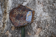 Αμάραντος Gravel Experience, Αμάραντος Καραδίτσας, 23/8/2025. © 2025 Nassos Triantafyllou / CYCLINGPHOTOS.GR