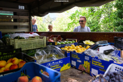 Αμάραντος Gravel Experience, Αμάραντος Καραδίτσας, 23/8/2025. © 2025 Nassos Triantafyllou / CYCLINGPHOTOS.GR