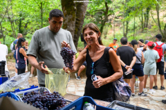 Αμάραντος Gravel Experience, Αμάραντος Καραδίτσας, 23/8/2025. © 2025 Nassos Triantafyllou / CYCLINGPHOTOS.GR