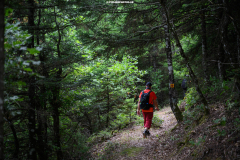 Αμάραντος Gravel Experience, Αμάραντος Καραδίτσας, 23/8/2025. © 2025 Nassos Triantafyllou / CYCLINGPHOTOS.GR