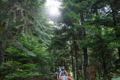 Αμάραντος Gravel Experience, Αμάραντος Καραδίτσας, 23/8/2025. © 2025 Nassos Triantafyllou / CYCLINGPHOTOS.GR